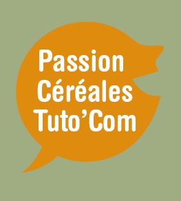 Vous connaissez votre métier mais avez-vous les mots pour en parler ?